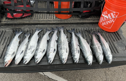 Lake Michigan’s finest Salmon fishing spots!